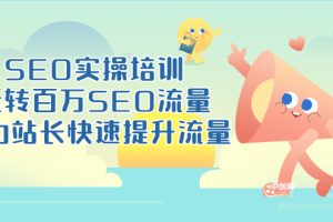 (3098期)SEO实操培训:玩转百万SEO流量,助力站长快速提升流量(18节视频课)