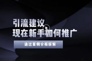 (3039期)今年新手如何精准引流?给你4点实操建议让你学会正确引流(附案例)无水印