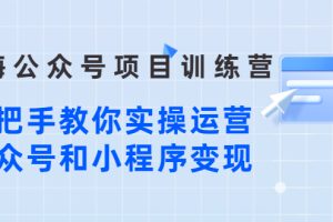 （2633期）蓝海公众号项目训练营，手把手教你实操运营公众号和小程序变现
