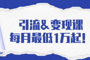 （1721期）引流&变现课：分享一整套流量方法以及各个渠道收入，每月最低1万起！