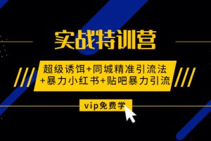 (1314期)实战特训营:超级诱饵+同城精准引流法+暴力小红书+贴吧暴力引流(视频课程)