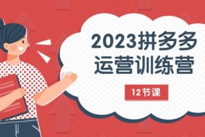 #原创                                                                                                 2023拼多多运营训练营：流量底层逻辑，免费+付费流量玩法（12节课）
