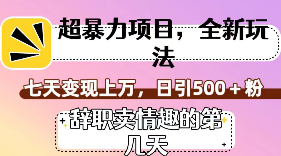 超暴利项目,全新玩法(辞职卖情趣的第几天),七天变现上万,日引500+粉 超暴利项目,全新玩法(辞职卖情趣的第几天),七天变现上万,日引500+粉