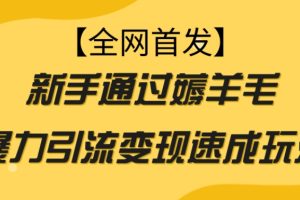 【全网首发】新手通过薅羊毛暴力引流变现速成玩法