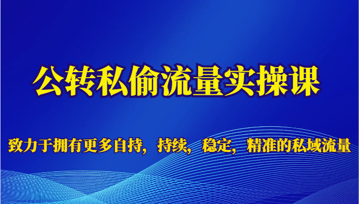 公转私偷流量实操课,致力于拥有更多自持,持续,稳定,精准的私域流量 公转私偷流量实操课,致力于拥有更多自持,持续,稳定,精准的私域流量