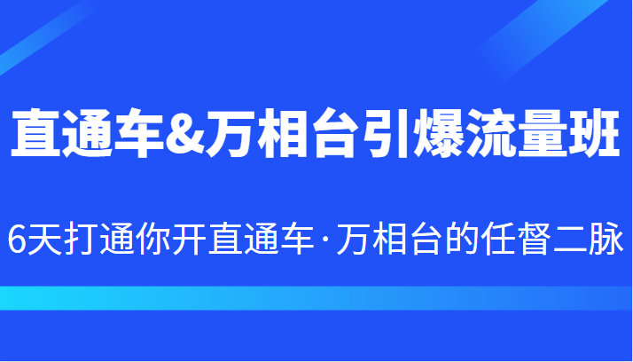 直通车&万相台引爆流量班 6天打通你开直通车·万相台的任督二脉 直通车&万相台引爆流量班 6天打通你开直通车·万相台的任督二脉