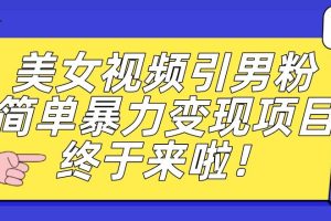 价值3980的男粉暴力引流变现项目，一部手机简单操作，新手小白轻松上手，每日收益500+【揭秘】