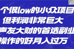 [抖音快手]一个很low的小众项目，但利润非常巨大，闷声发大财的首选副业，操作的好月入过万