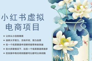 [小红书]小红书虚拟电商从0到1小白到精英（20节实操课程）