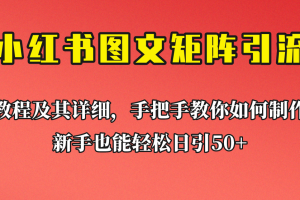 [引流变现]新手也能日引50+的小红书图文矩阵引流法！超详细理论+实操的课程助你流量源源不断