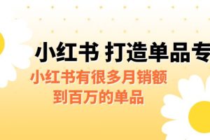 [小红书]某公众号付费文章《小红书 打造单品专家》小红书有很多月销额到百万的单品