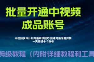 [新自媒体]外面收费1980暴力开通中视频计划教程，附 快速通过中视频伙伴计划的办法