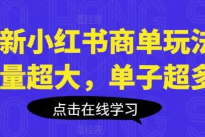 最新小红书商单玩法，流量超大，单子超多【揭秘】