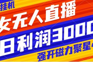 (8158期)快手挂机,美女无人直播,强开磁力聚星小铃铛,日入3000+