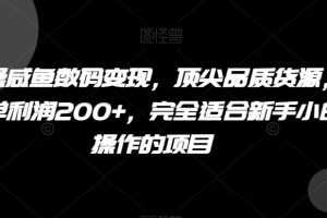 实操咸鱼数码变现，顶尖品质货源，一单利润200+，完全适合新手小白操作的项目【揭秘】