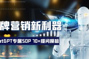 （8402期）品牌营销新利器：ChatGPT专属SOP，70+提问模板