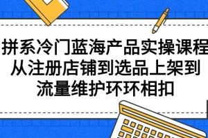 （9527期）拼系冷门蓝海产品实操课程，从注册店铺到选品上架到流量维护环环相扣