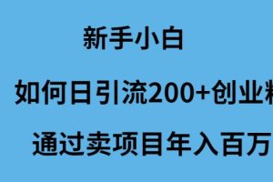 （9668期）新手小白如何日引流200+创业粉通过卖项目年入百万