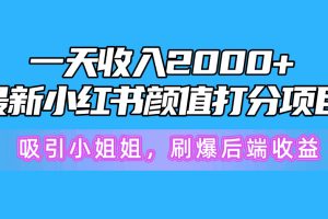 （10187期）一天收入2000+，最新小红书颜值打分项目，吸引小姐姐，刷爆后端收益