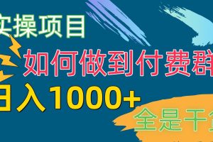 （10303期）付费群赛道，日入1000+