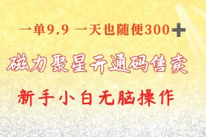 （10519期）快手磁力聚星码信息差 售卖  一单卖9.9  一天也轻松300+ 新手小白无脑操作