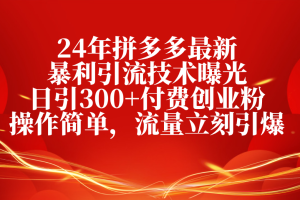 （10559期）24年拼多多最新暴利引流技术曝光，日引300+付费创业粉，操作简单，流量…