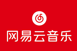(10785期)网易音乐人2024.5月最新教程,简单无脑,收益第二天可见