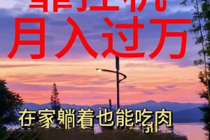 (10838期)靠挂机,日入1000+,躺着也能吃肉,电脑手机都可挂