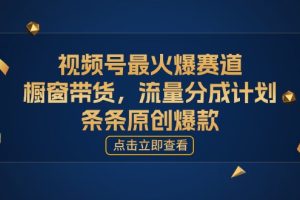 （11009期）视频号最火爆赛道，橱窗带货，流量分成计划，条…