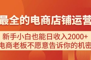 （11266期）电商店铺运营教学，新手小白也能日收入2000+，电商老板不愿意告诉你的机密