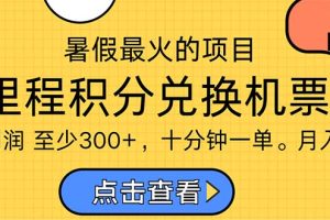 （11267期）暑假暴利的项目，利润飙升，正是项目利润爆发时期。市场很大，一单利…