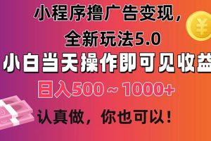 （11293期）小程序撸广告变现，全新玩法5.0，小白当天操作即可上手，日收益 500~1000+