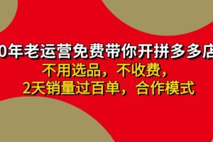 （11576期）拼多多-合作开店日入4000+两天销量过百单，无学费、老运营教操作、小白…
