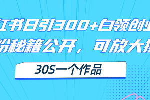 （11692期）小红书日引300+高质白领创业粉，可放大操作，爆粉秘籍！30s一个作品