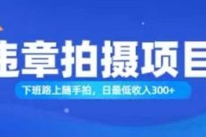 （11698期）随手拍也能赚钱？对的日入300+
