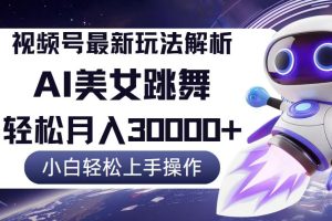 (12485期)视频号最新暴利玩法解析,小白也能轻松月入30000+