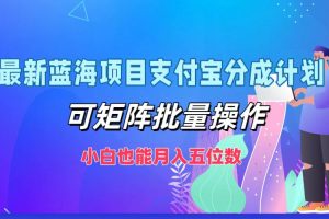 (12515期)最新蓝海项目支付宝分成计划,可矩阵批量操作,小白也能月入五位数
