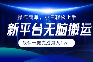 (12528期)平台无脑搬运月入1W+软件一键完成,简单无脑小白也能轻松上手