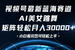 (12594期)视频号最新蓝海赛道,小白也能轻松月入30000+