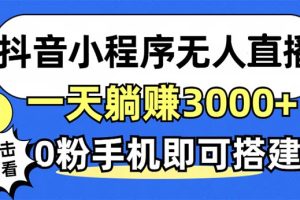 （12988期）抖音小程序无人直播，一天躺赚3000+，0粉手机可搭建，不违规不限流，小…