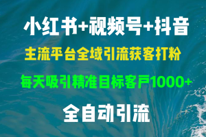 （13103期）小红书，视频号，抖音主流平台全域引流获客打粉，每天吸引精准目标客户…