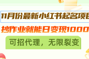 （13256期）11月份最新小红书起名项目，抄作业就能日变现1000+，可招代理，无限裂变