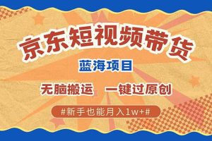 （13349期）最新京东短视频蓝海带货项目，无需剪辑无脑搬运，一键过原创，有手就能…