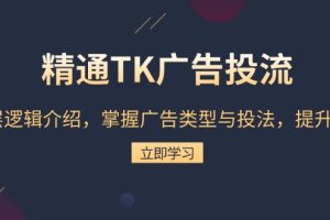 （13641期）精通TK广告投流：底层逻辑介绍，掌握广告类型与投法，提升效果