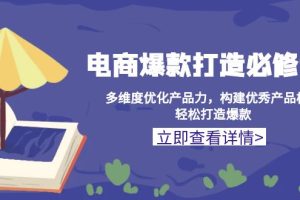 （13689期）电商爆款打造必修课：多维度优化产品力，构建优秀产品梯队，轻松打造爆款