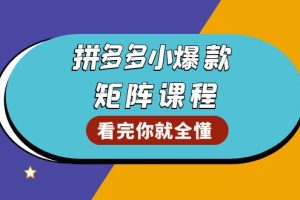 （13699期）拼多多爆款矩阵课程：教你测出店铺爆款，优化销量，提升GMV，打造爆款群