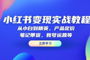 （13923期）小红书变现实战教程：从小白到精英，产品定价，笔记带货，账号运营等