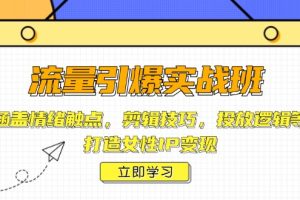 （14008期）流量引爆实战班，涵盖情绪触点，剪辑技巧，投放逻辑等，打造女性IP变现