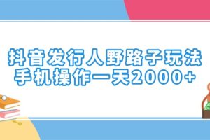 （14041期）抖音发行人野路子玩法，手机操作一天2000+