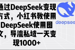 （14179期）通过DeepSeek变现方式，小红书教使用DeepSeek图文，导流私域一天变现1000+